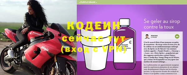 ешки Вяземский