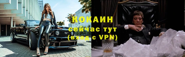 твердый Вязники