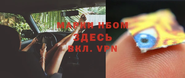 ешки Вяземский