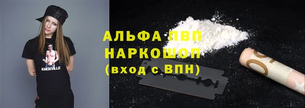 ешки Вяземский