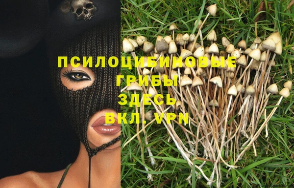 ешки Вяземский
