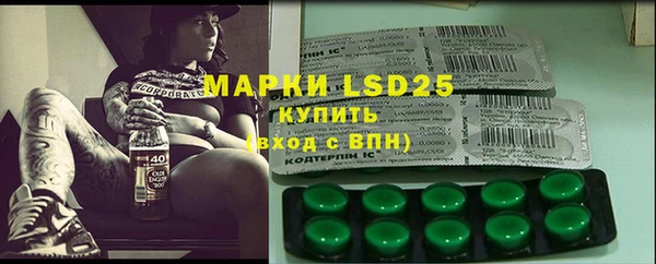 ешки Вяземский